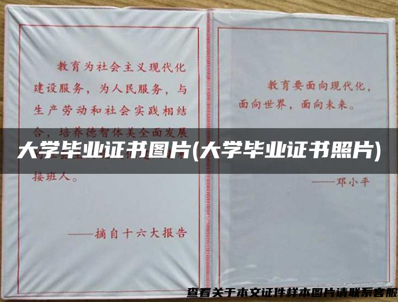 大学毕业证书图片(大学毕业证书照片)