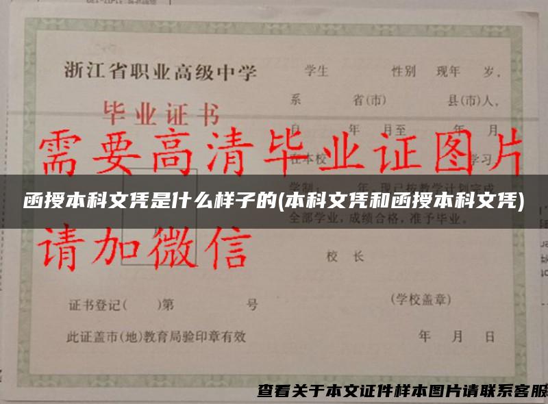 函授本科文凭是什么样子的(本科文凭和函授本科文凭)