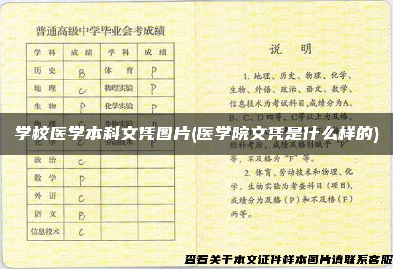 学校医学本科文凭图片(医学院文凭是什么样的)