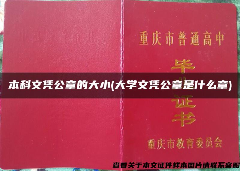 本科文凭公章的大小(大学文凭公章是什么章)