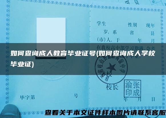 如何查询成人教育毕业证号(如何查询成人学校毕业证)