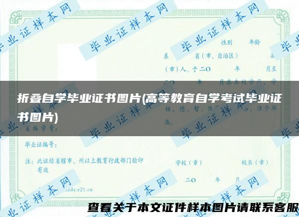 折叠自学毕业证书图片(高等教育自学考试毕业证书图片)