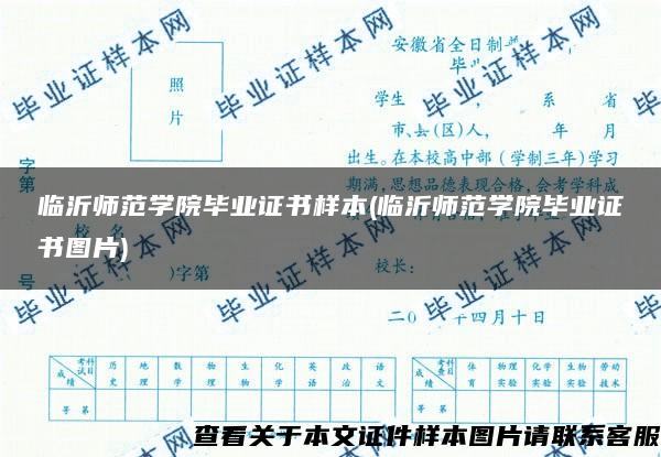 临沂师范学院毕业证书样本(临沂师范学院毕业证书图片)