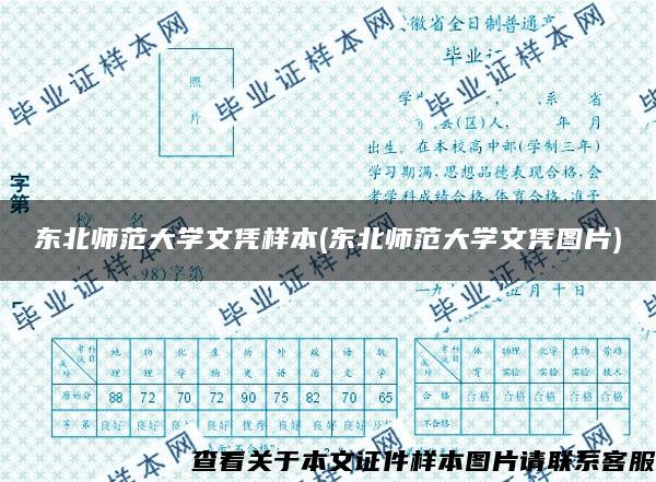 东北师范大学文凭样本(东北师范大学文凭图片)