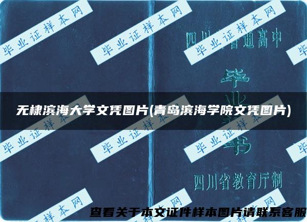 无棣滨海大学文凭图片(青岛滨海学院文凭图片)