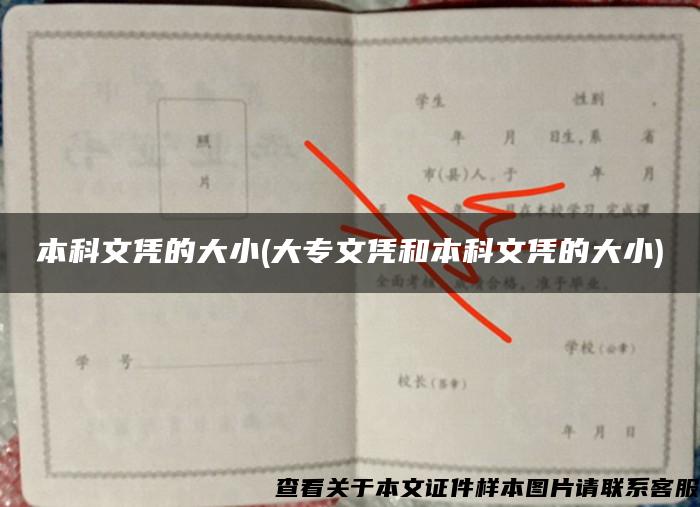 本科文凭的大小(大专文凭和本科文凭的大小)