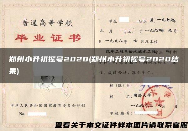 郑州小升初摇号2020(郑州小升初摇号2020结果)