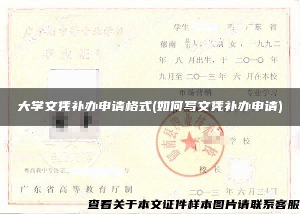 大学文凭补办申请格式(如何写文凭补办申请)