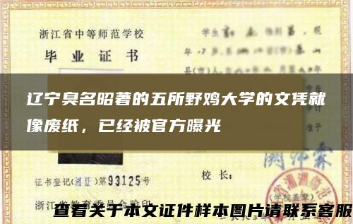 辽宁臭名昭著的五所野鸡大学的文凭就像废纸，已经被官方曝光