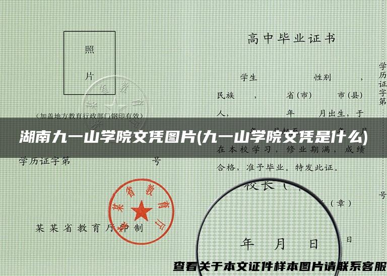 湖南九一山学院文凭图片(九一山学院文凭是什么)