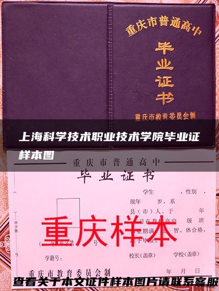 上海科学技术职业技术学院毕业证样本图