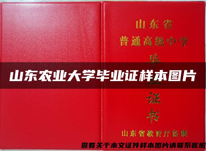 山东农业大学毕业证样本图片