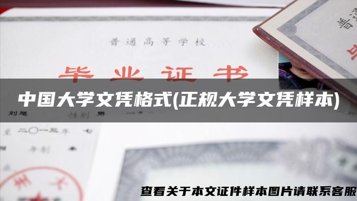 中国大学文凭格式(正规大学文凭样本)