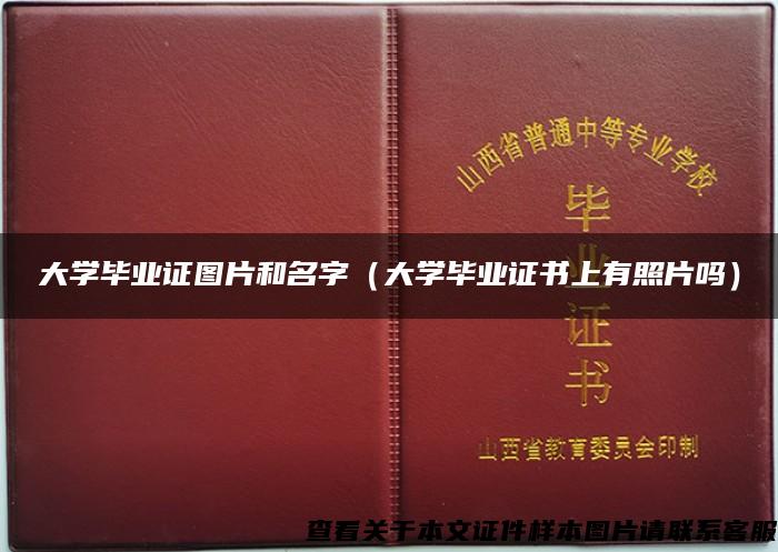 大学毕业证图片和名字（大学毕业证书上有照片吗）