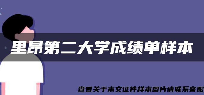 里昂第二大学成绩单样本