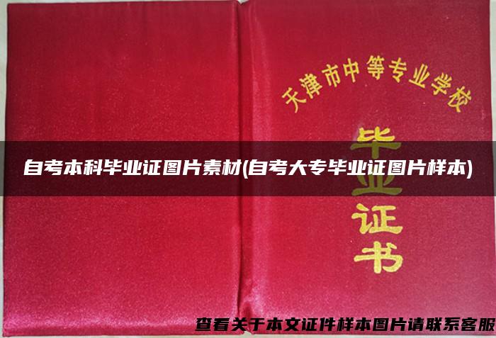 自考本科毕业证图片素材(自考大专毕业证图片样本)