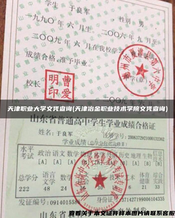 天津职业大学文凭查询(天津冶金职业技术学院文凭查询)