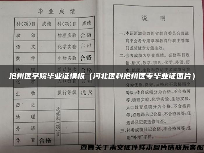 沧州医学院毕业证模板（河北医科沧州医专毕业证图片）