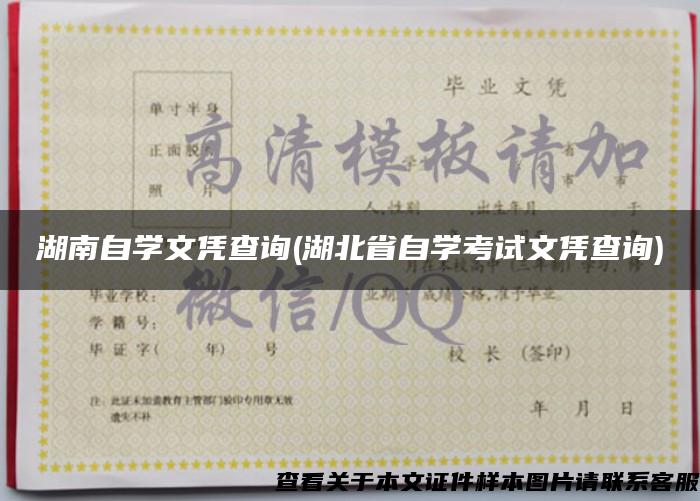 湖南自学文凭查询(湖北省自学考试文凭查询)