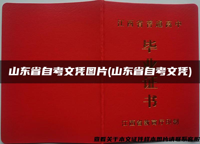 山东省自考文凭图片(山东省自考文凭)