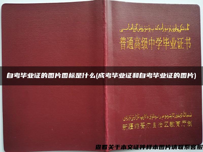 自考毕业证的图片图标是什么(成考毕业证和自考毕业证的图片)