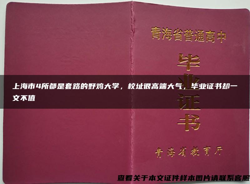 上海市4所都是套路的野鸡大学，校址很高端大气，毕业证书却一文不值