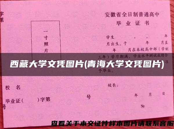 西藏大学文凭图片(青海大学文凭图片)