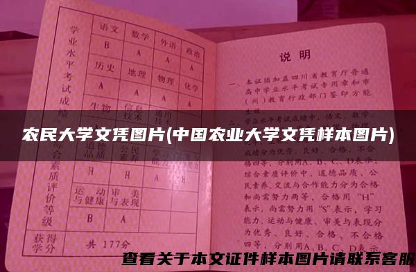 农民大学文凭图片(中国农业大学文凭样本图片)