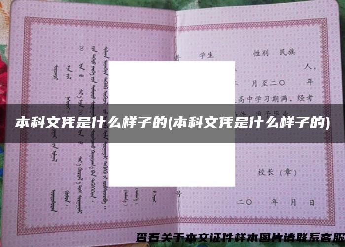 本科文凭是什么样子的(本科文凭是什么样子的)