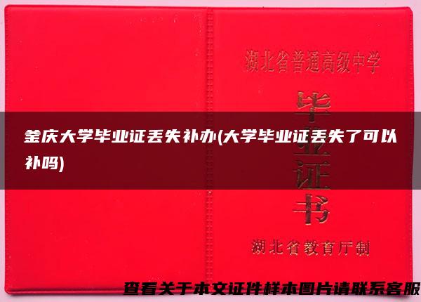 釜庆大学毕业证丢失补办(大学毕业证丢失了可以补吗)