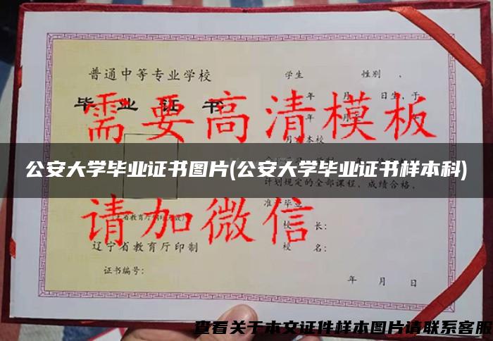 公安大学毕业证书图片(公安大学毕业证书样本科)