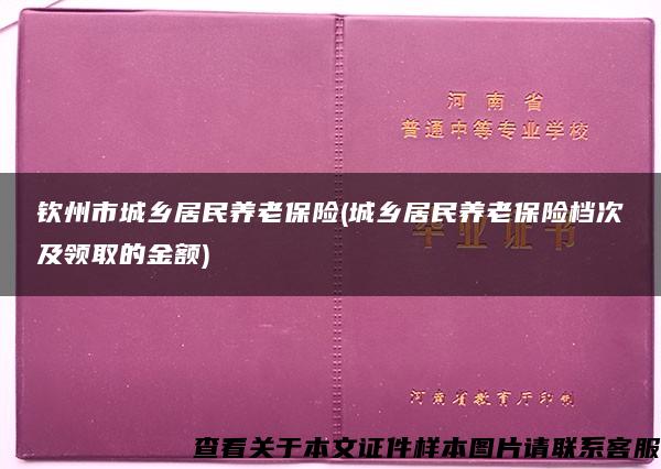 钦州市城乡居民养老保险(城乡居民养老保险档次及领取的金额)