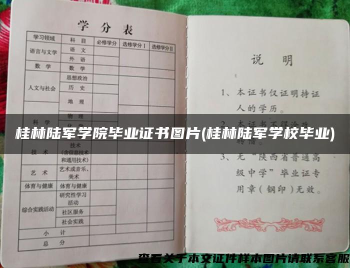 桂林陆军学院毕业证书图片(桂林陆军学校毕业)