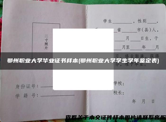 鄂州职业大学毕业证书样本(鄂州职业大学学生学年鉴定表)