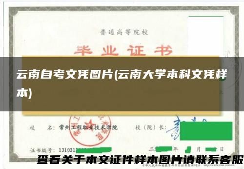 云南自考文凭图片(云南大学本科文凭样本)