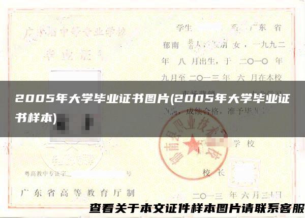 2005年大学毕业证书图片(2005年大学毕业证书样本)