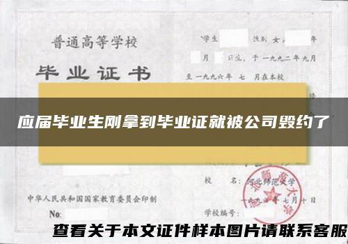 应届毕业生刚拿到毕业证就被公司毁约了