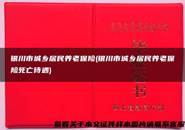 银川市城乡居民养老保险(银川市城乡居民养老保险死亡待遇)