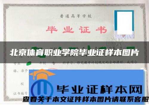 北京体育职业学院毕业证样本图片