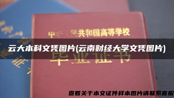 云大本科文凭图片(云南财经大学文凭图片)