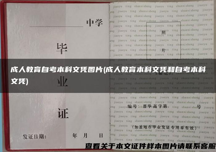 成人教育自考本科文凭图片(成人教育本科文凭和自考本科文凭)