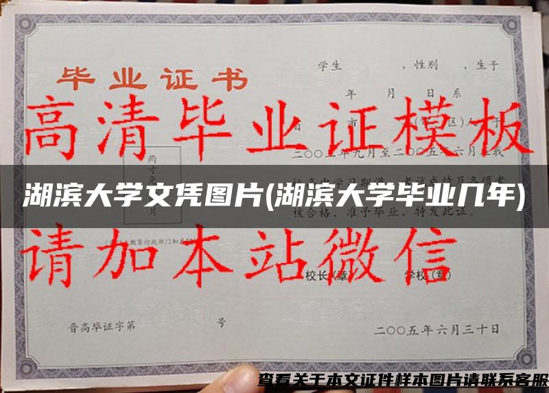 湖滨大学文凭图片(湖滨大学毕业几年)