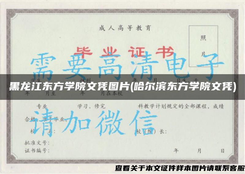 黑龙江东方学院文凭图片(哈尔滨东方学院文凭)