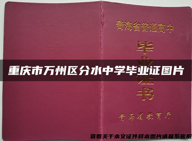 重庆市万州区分水中学毕业证图片