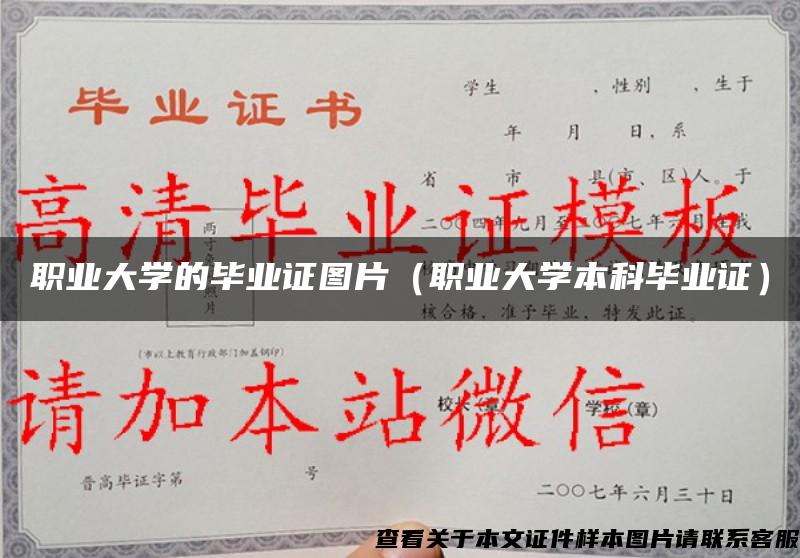 职业大学的毕业证图片（职业大学本科毕业证）