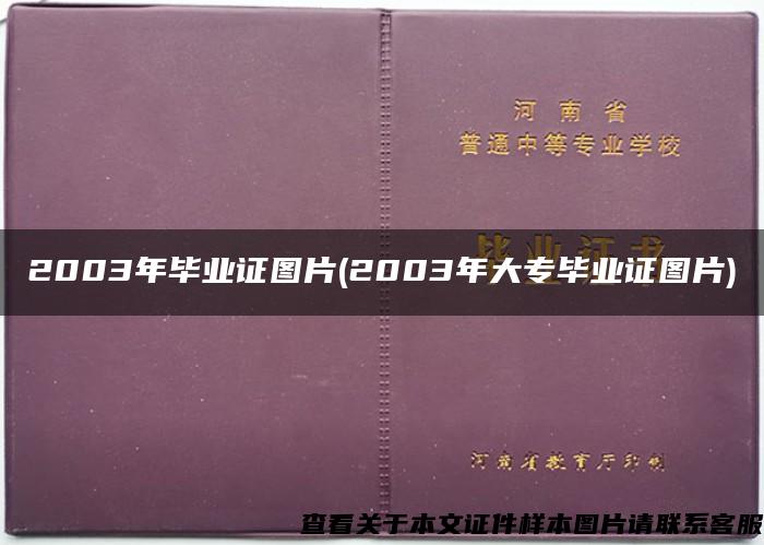 2003年毕业证图片(2003年大专毕业证图片)