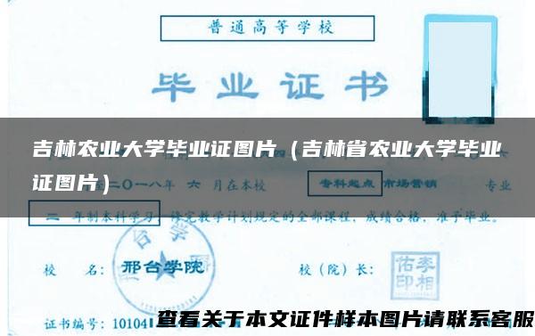 吉林农业大学毕业证图片（吉林省农业大学毕业证图片）