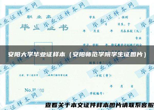 安阳大学毕业证样本（安阳师范学院学生证图片）