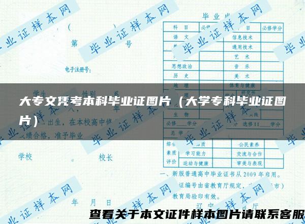 大专文凭考本科毕业证图片（大学专科毕业证图片）