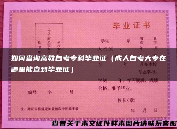 如何查询高教自考专科毕业证（成人自考大专在哪里能查到毕业证）